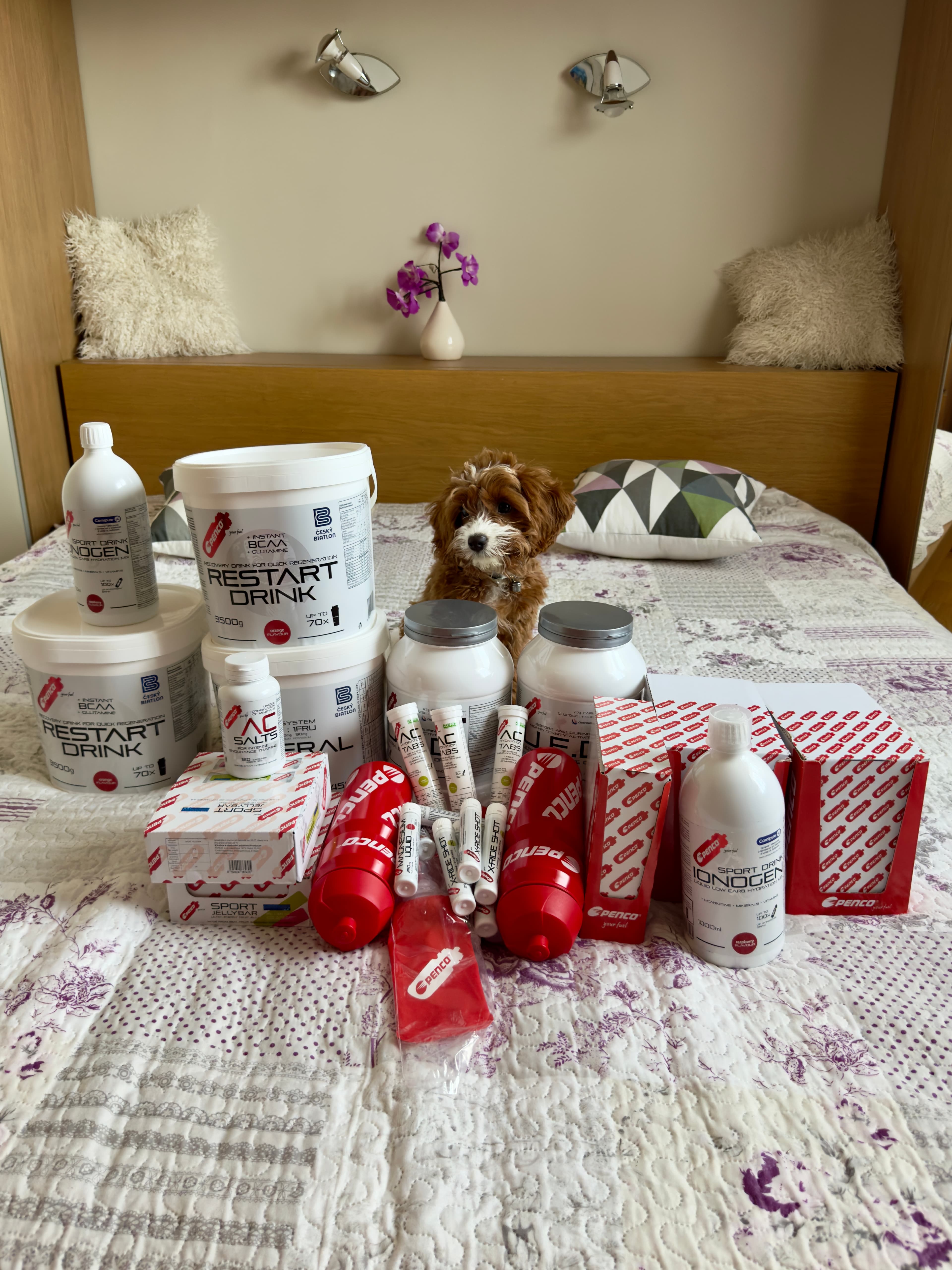 Chystáš se na triatlon? 6 rad, které ti ulehčí závod